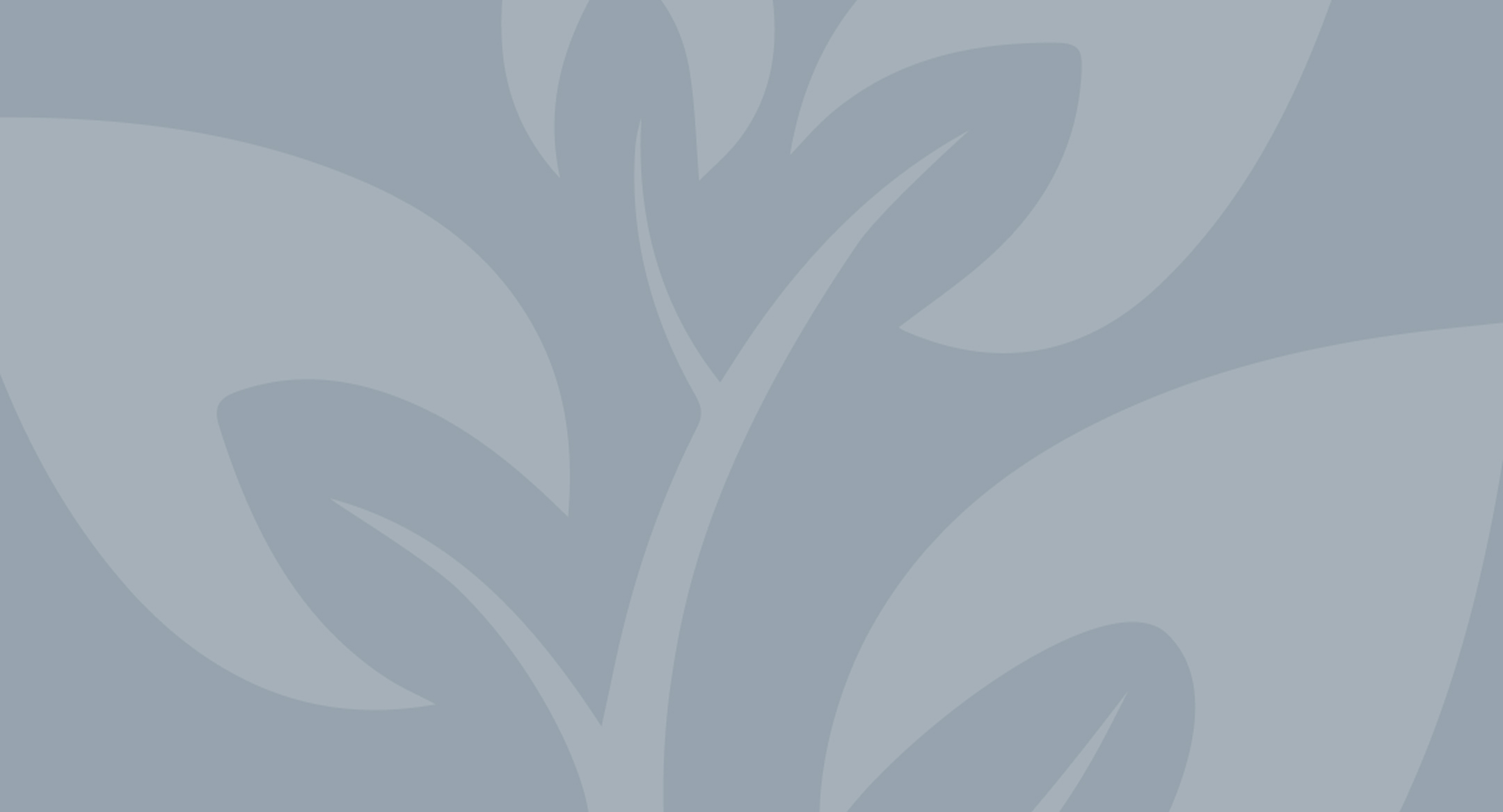Grey Header