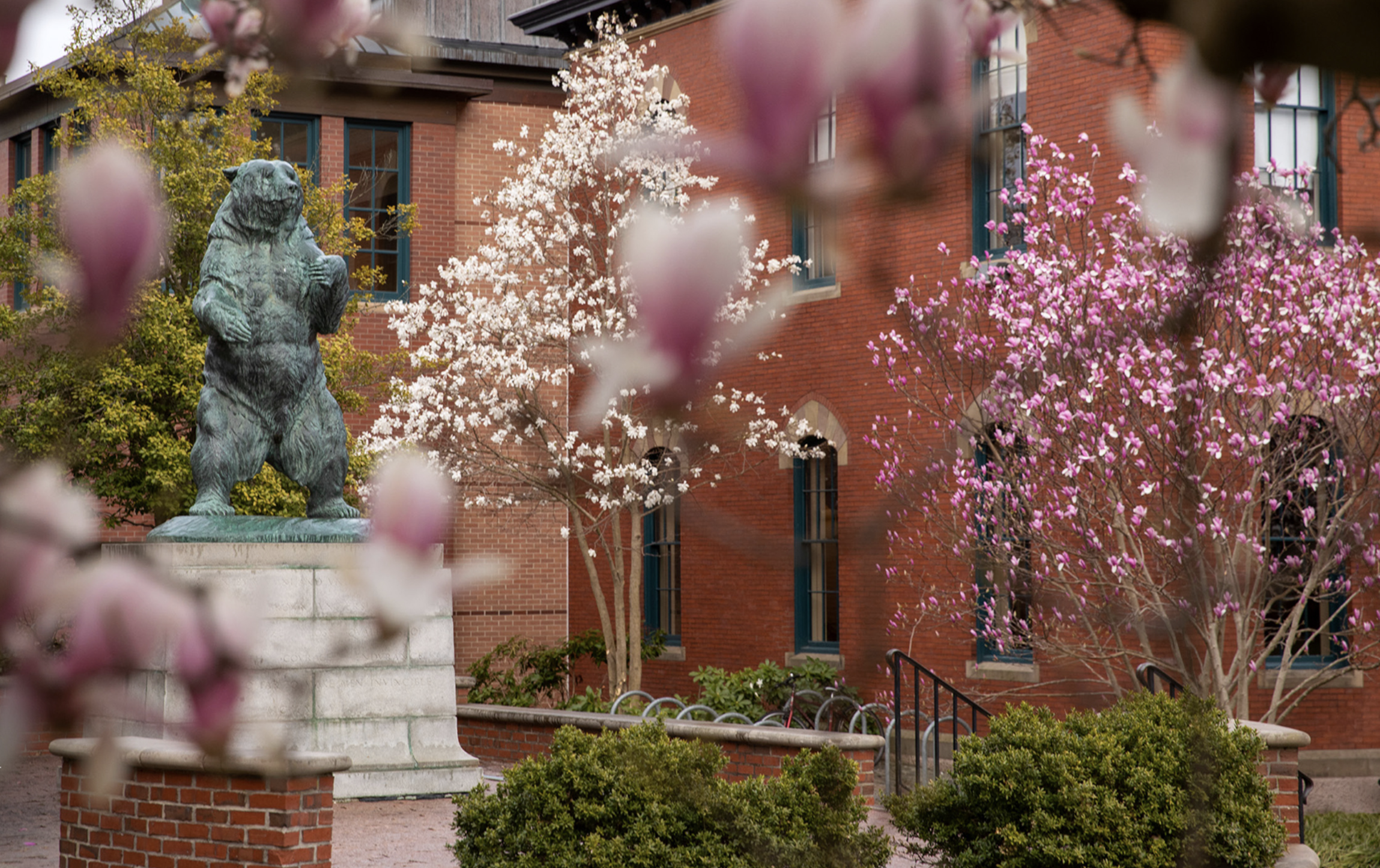 Brown bear statue