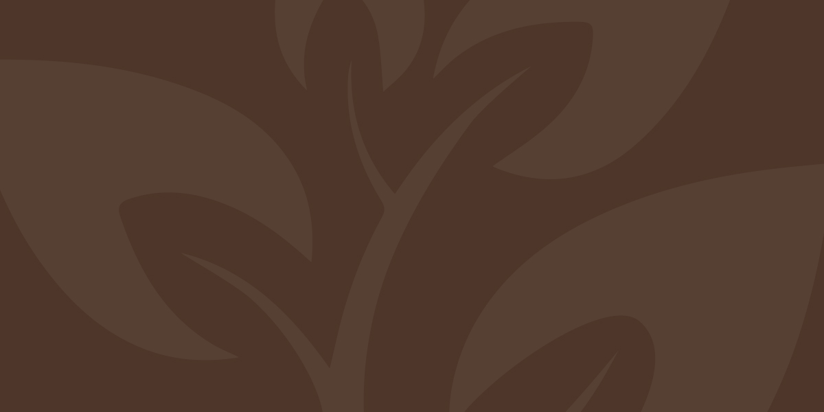 A brown-colored background with a graphic leaf watermark