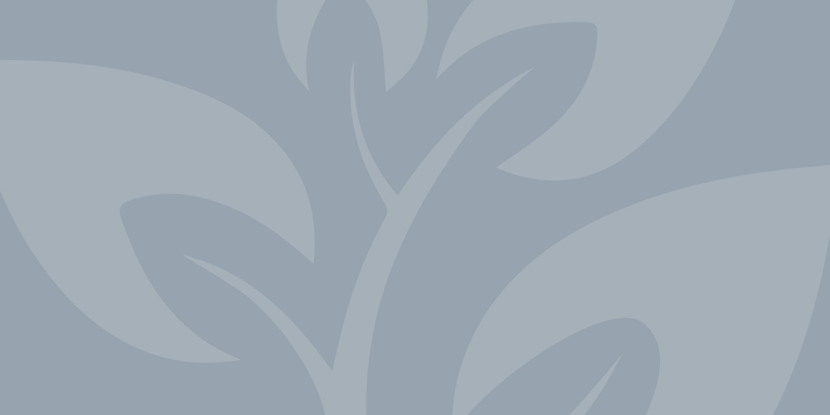 Gray Pattern background