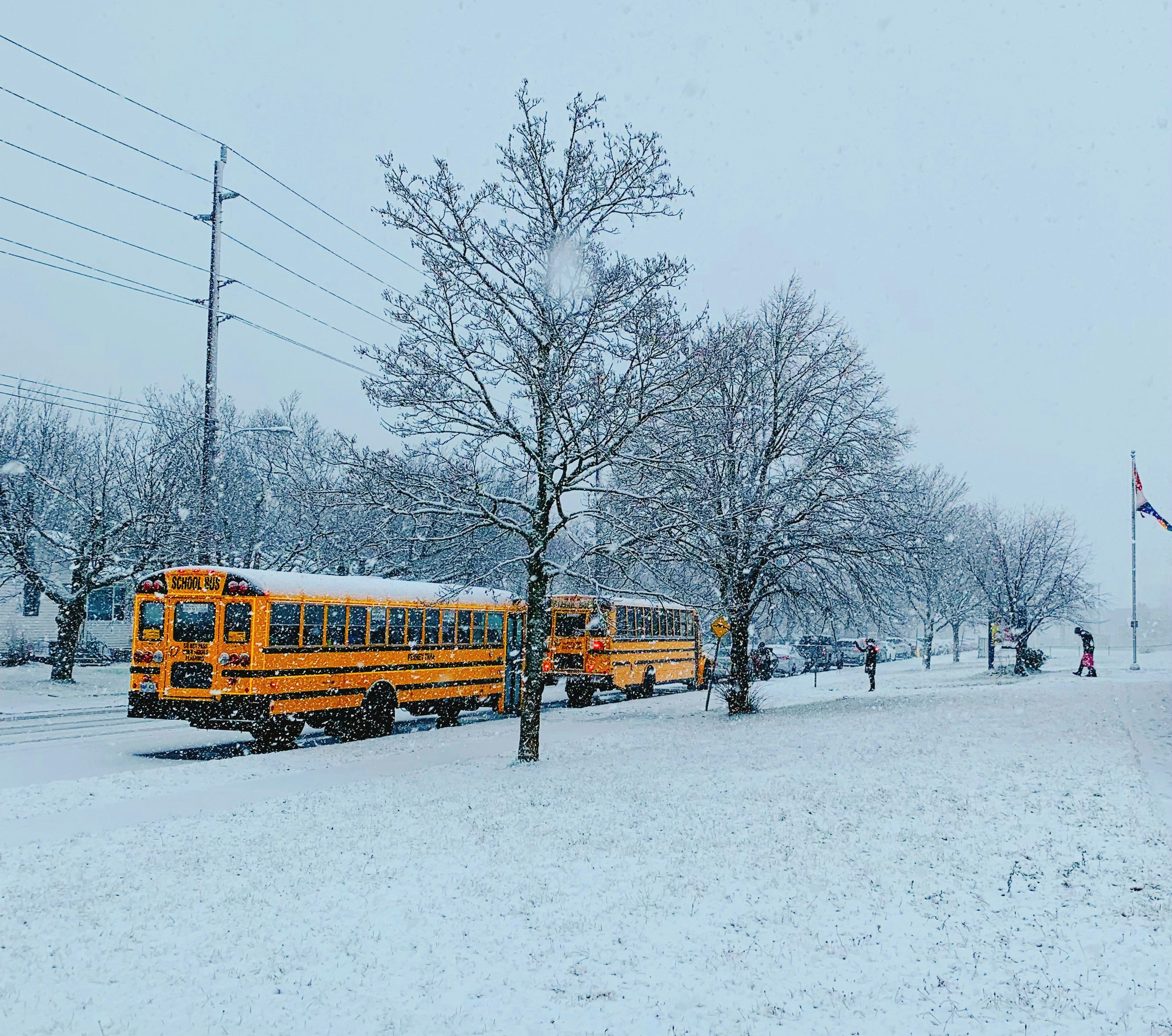school buses in snow