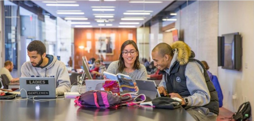 Students studying together at the Brown University library