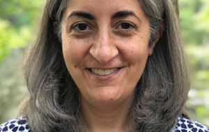 Ann Mantil