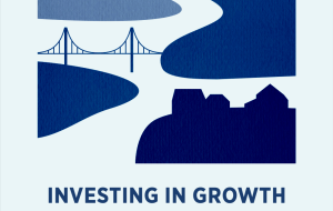 Investing in Growth cover