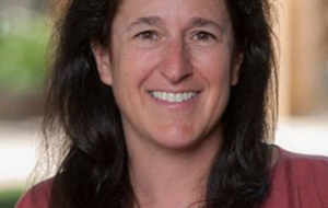 Dr. Susanna Loeb elected to the American Academy of Arts and Sciences