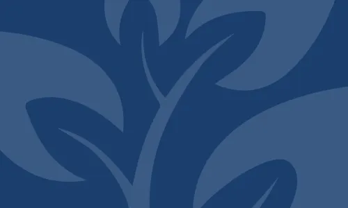 Blueheader