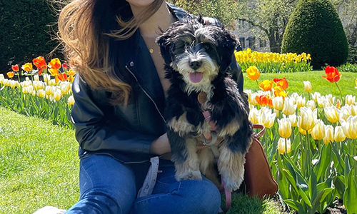 Annenberg Spotlight: Monica Lee